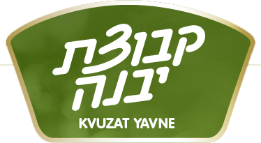 לוגו קבוצת יבנה